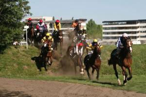 Velká Pardubická